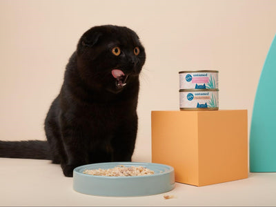 Associated image for Where to get the best tailor-made cat food for your kitty