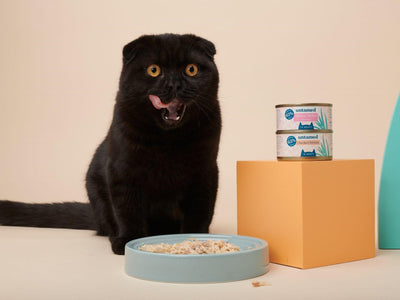 Associated image for Wet cat food—an occasional feast or a complete meal?